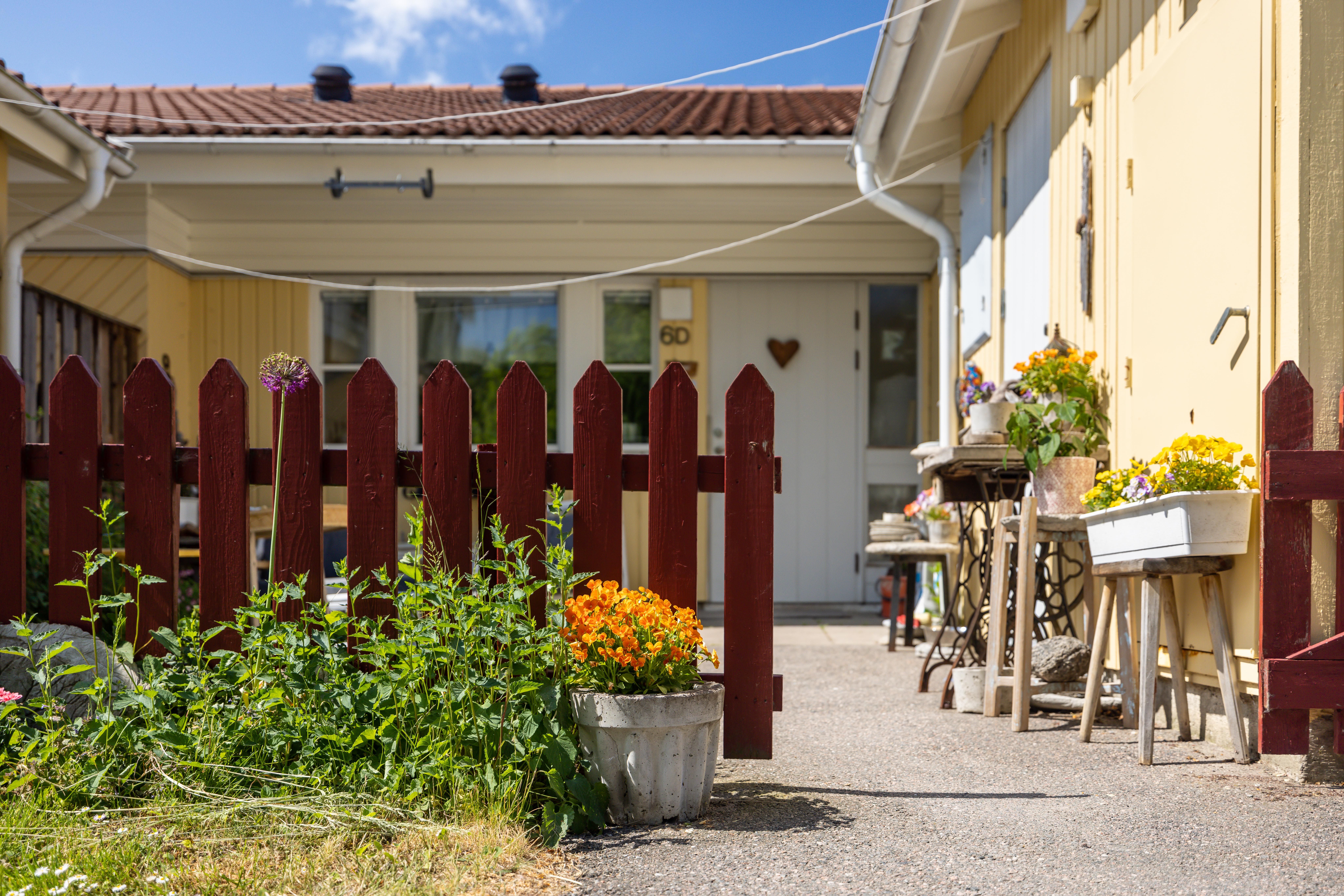 Bild på radhus